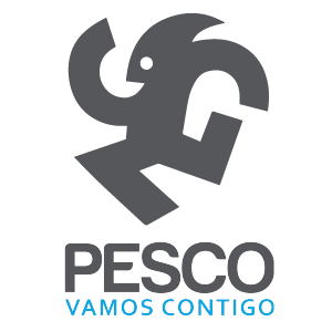 PESCO_Mesa-de-trabajo-1